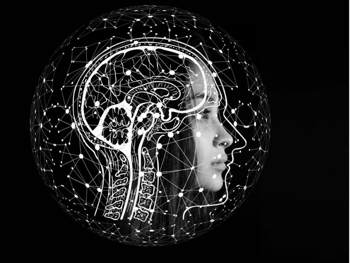 Thomas W. Polger - Özdeşlik Kuramları