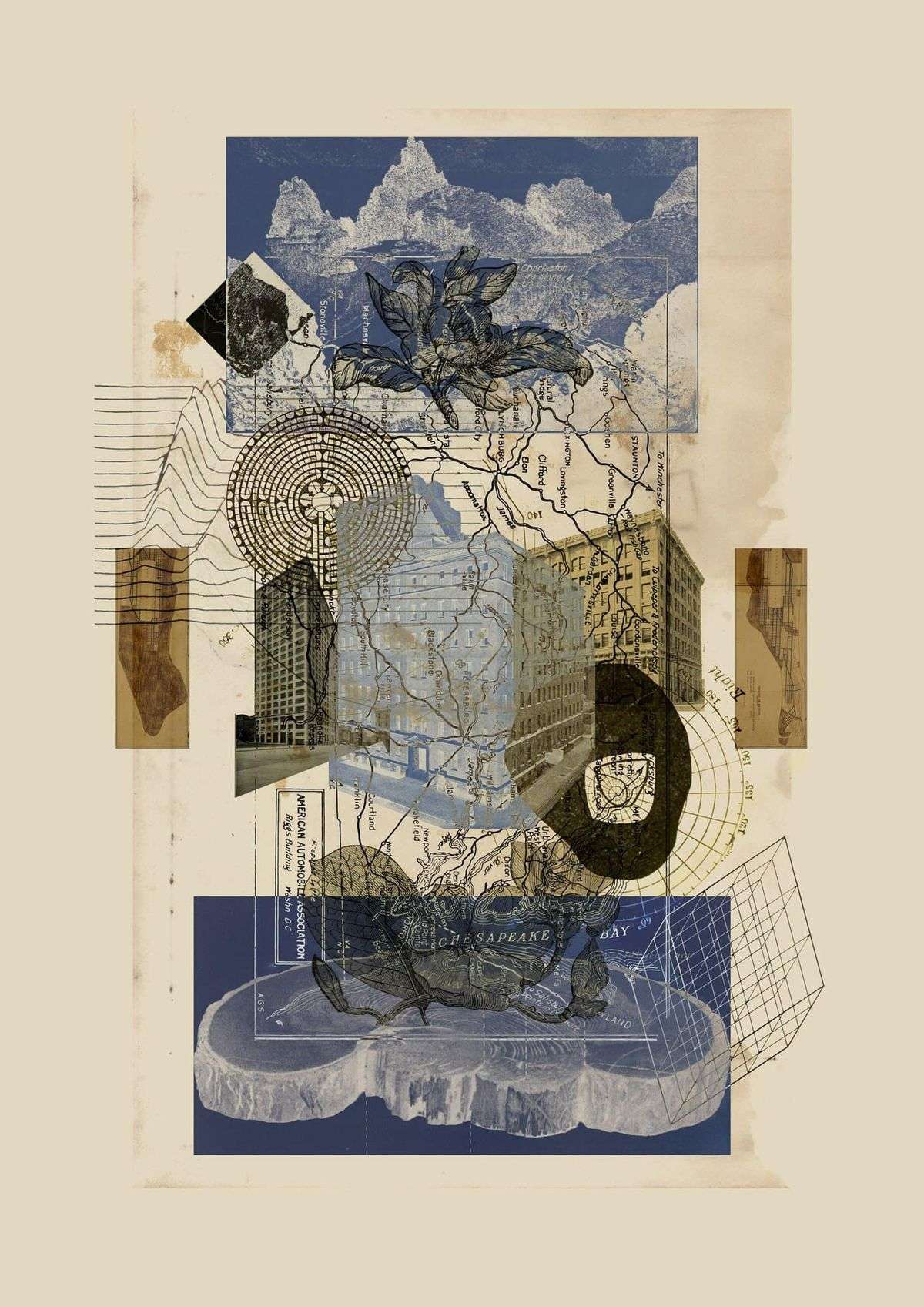 Norenzayan ve Nisbett - Kültür ve Nedensel Biliş